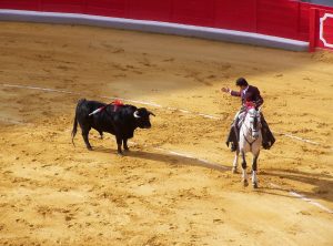 Mexique : La ville de Mexico interdit les corridas avec mise &agrave; mort des taureaux  - Animaux Bien-&ecirc;tre animal Corridas Mexique
