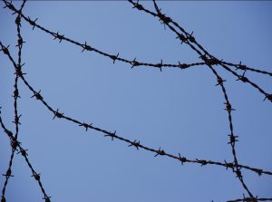 Isra&euml;l&nbsp;: l'ex-procureure qui a fait fuiter une vid&eacute;o de s&eacute;vices sur un palestinien a &eacute;t&eacute; arr&ecirc;t&eacute;e  - Gaza G&eacute;nocide &agrave; Gaza Isra&euml;l Torture Yifat Tomer-Yeroushalmi