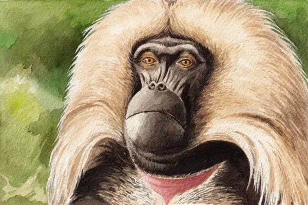 Les orques offrent des cadeaux, les singes aiment l’alcool... Les « Animaux géniaux » de Reporterre  - Animaux Animaux géniaux Biodiversité Biologie Recherche scientifique Science Sciences