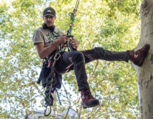 Contre l&rsquo;A69, la lutte dans les arbres reprend de plus belle  - A69 Environnement GNSA Groupe national de surveillance des arbres Initiatives Lutte environnementale