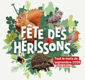 F&ecirc;te des H&eacute;rissons : 1001 mani&egrave;res de s'engager pour la nature  - Biodiversit&eacute; France Nature Environnement H&eacute;rissons Initiatives
