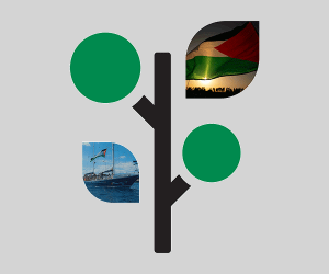 La Flottille Globale Sumud prend la mer depuis l&rsquo;italie, la tunisie et la gr&egrave;ce pour s&rsquo;unir dans les eaux internationales  - Flottille Gaza G&eacute;nocide &agrave; Gaza Global Sumud Flotilla