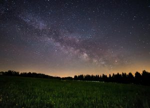 Des papillons de nuit voyagent gr&acirc;ce aux &eacute;toiles  - Australie Bogong D&eacute;couverte scientifique Papillons Recherche scientifique Sciences