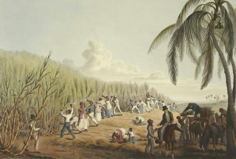 L’incroyable histoire de la révolution haïtienne  - Démocratie Esclavage Haïti Histoire Révolution