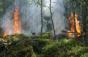 L'avenir est-il assurable ?  - Assurances Changement climatique Climat