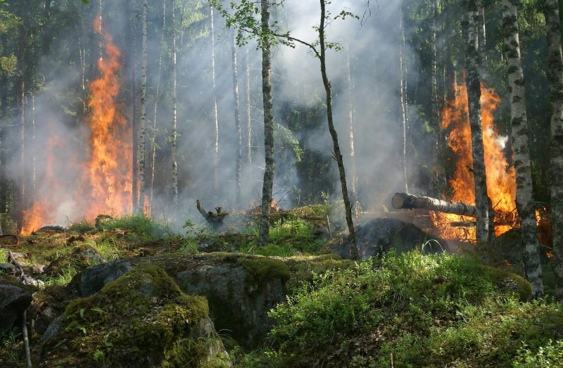 L'avenir est-il assurable ?  - Assurances Changement climatique Climat