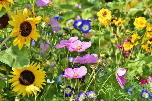 Une &eacute;colo &agrave; l&rsquo;OFB&nbsp;: scandale ! L'&Eacute;tat lance une enqu&ecirc;te "maccarthyste"&hellip;  - Agriculture Anne Le Strat Biodiversit&eacute; Coordination rurale &Eacute;cologie Environnement FNSEA Maccarthysme Office fran&ccedil;ais de la biodiversit&eacute; (OFB)