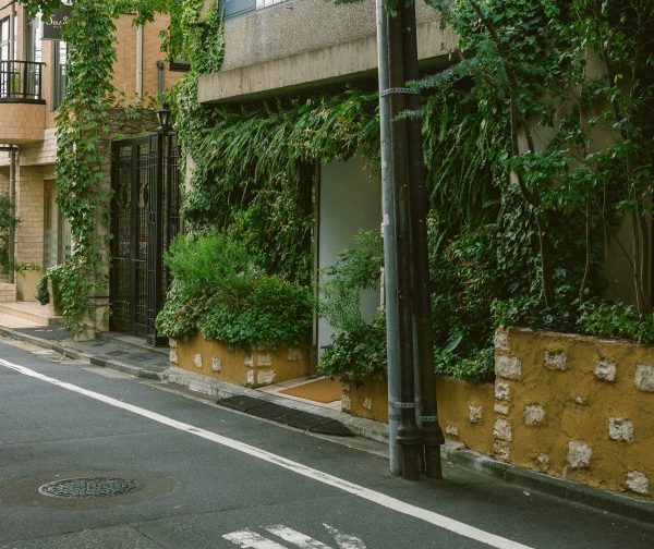 Dans les villes, comment les citoyens organisent la lutte contre la surchauffe  - Changement climatique Villes
