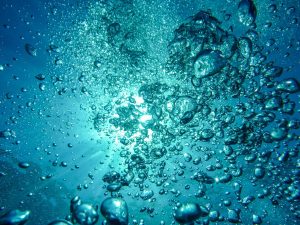 Des organismes vivants d&eacute;couverts &agrave; plus de 9&nbsp;000&nbsp;m de fond  - Science Vie profonde