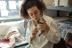 Pigeons, h&eacute;rissons, h&eacute;ron... Un refuge pour les animaux sauvages bless&eacute;s en ville  - Animaux Maisons-Alfort