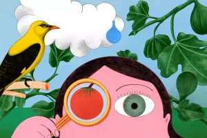 &laquo;&nbsp;Le jardin, l&agrave; o&ugrave; les sens s&rsquo;affinent&nbsp;&raquo;  - Agriculture Marie Astier Potager