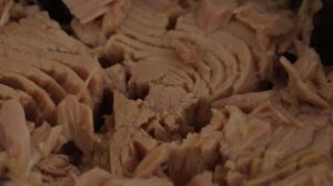Contamination au mercure : huit mairies retirent le thon des cantines  - Alimentation Cantine scolaire Sant&eacute; Sant&eacute; publique Thon