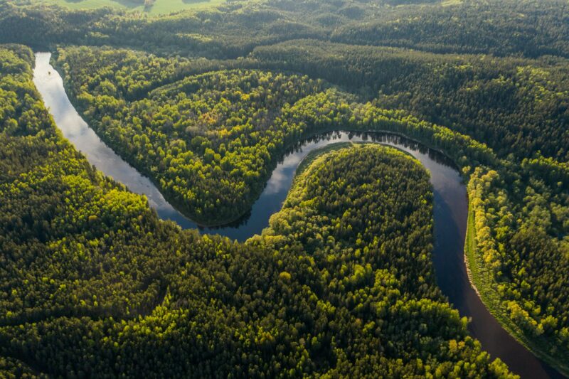 La forêt amazonienne vacille dangereusement, entre la déforestation et le changement climatique  - Amazonie Changement climatique Climat Environnement Forêts