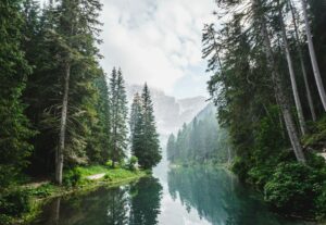 Morbihan : la FNSEA s&rsquo;invite dans la gouvernance d&rsquo;un parc naturel  - Action environnementale Agriculture Biodiversit&eacute; Conflit d'int&eacute;r&ecirc;t Eau &Eacute;cologie Environnement FNSEA Morbihan Nature Parc naturel Pesticides Politique Surzur Syndicat Jeunes agriculteurs