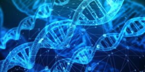 La g&eacute;n&eacute;tique nous nargue&nbsp;: des g&egrave;nes amplifi&eacute;s aux centrom&egrave;res hyperactifs  - Acinetobacter baumannii ADN Antibiotiques Bact&eacute;ries Biologie D&eacute;couverte scientifique Escherichia coli &Eacute;volution G&eacute;n&eacute;tique Micro-organisme Microbes Prot&eacute;ine Recherche scientifique Science Sciences
