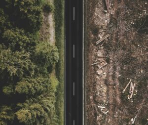 Climat&nbsp;: la for&ecirc;t fran&ccedil;aise n&rsquo;absorbe plus, elle encaisse  - Association Canop&eacute;e Carbone Changement climatique D&eacute;forestation &Eacute;cologie &Eacute;nergies Environnement For&ecirc;ts Industries