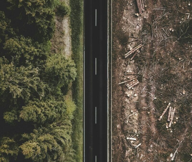 La déforestation responsable de 74% de la réduction des précipitations en Amazonie  - Amazonie Amérique du sud Changement climatique Climat Déforestation Forêts Sécheresse