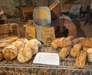 Une asso agricole menac&eacute;e de 3000 euros par mois d'amende &agrave; cause de caravanes  - Agriculture Caravanes Collectif du Rantonnet Habitat Habitat l&eacute;ger
