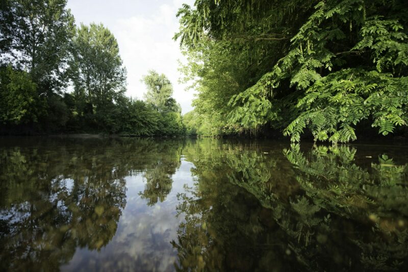 La rivière qui cache la forêt ? L’importance de protéger les ripisylves, précieuses face aux changements globaux  - Environnement Forêts Ripisylves Rivières