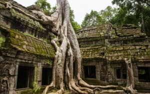 La longue alliance secr&egrave;te entre l&rsquo;Oncle Sam et le g&eacute;nocidaire Pol Pot  - Cambodge &Eacute;tats-Unis G&eacute;nocide Pol Pot