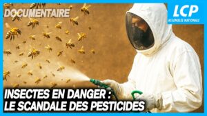 Insecticide, comment l'agrochimie a tu&eacute; les insectes | Docu LCP  - Agrochimie Biodiversit&eacute; Insecticides N&eacute;onicotino&iuml;des Pesticides Produits phytopharmaceutiques Produits phytosanitaires Vid&eacute;o