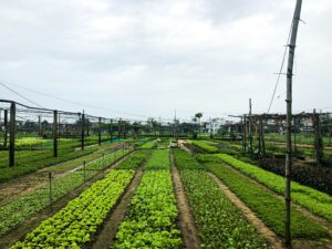 Agricultrices : paroles de femmes en terres masculines  - Agriculture Conditions de travail Droits des femmes Eure F&eacute;minisme Femmes Harc&egrave;lement Sexisme Travail