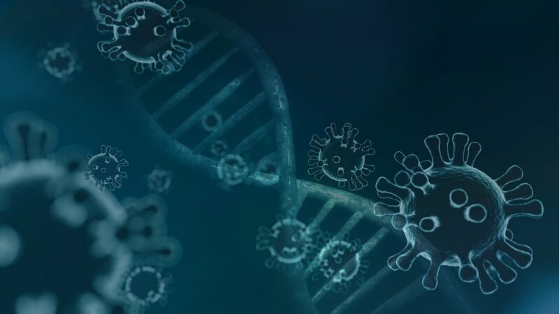 Les virus, ces messagers de la conversation du vivant  - Environnement Fièvre hémorragique de Crimée-Congo (CCHFV) Génétique Immunité Nature Santé Virus