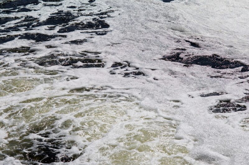 Lactalis : l’ogre du lait continue de polluer en toute impunité  - Disclose France Nature Environnement Lactalis Pollution