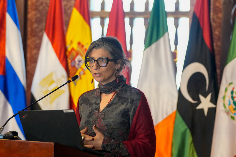 Sur France Culture, Guillaume Erner face à Francesca Albanese : suspicion et délégitimation  - Cour internationale de justice (CIJ) France Culture Francesca Albanese Gaza Génocide à Gaza Guillaume Erner Israël Manipulation des médias Médias ONU Radio France