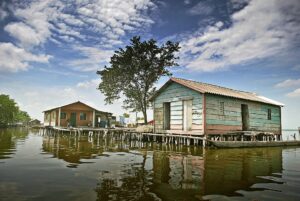 En Colombie, un village &eacute;touff&eacute; par une algue  - Algues Colombie Environnement Hydrilla verticillata Lutte environnementale Nueva Venecia P&ecirc;che Plante invasive Pollution