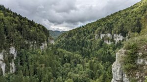 &laquo; Cultiver l&rsquo;avenir &raquo; : des b&eacute;n&eacute;voles sauvent la &ldquo;for&ecirc;t tropicale d&rsquo;&Eacute;cosse&rdquo; en r&eacute;coltant 11 millions de graines  - Action environnementale Arbres Biodiversit&eacute; Changement climatique Ch&ecirc;nes Climat D&eacute;forestation D&eacute;tente &Eacute;cologie &Eacute;cosse Environnement For&ecirc;ts Initiatives Lutte environnementale Nature Plantes