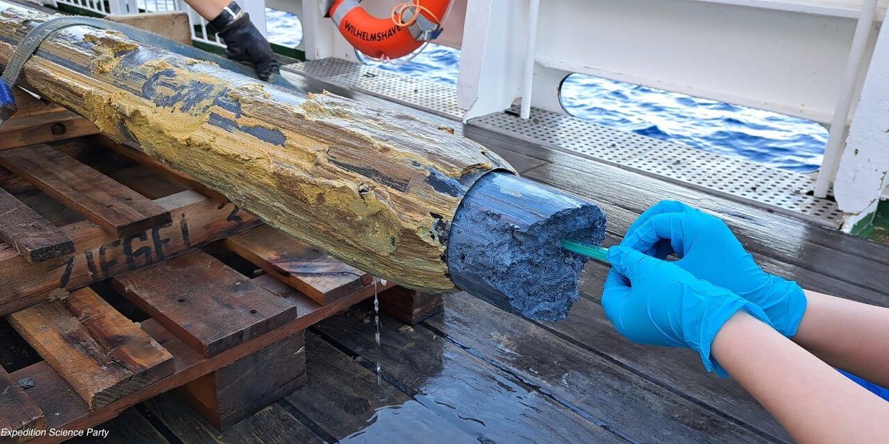 Dans les abysses du Pacifique, une étrange boue bleue abrite des microbes extrêmes  - Découverte scientifique Environnement Microbes Microbes extrémophiles Nature Recherche scientifique Science Sciences Tardigrade