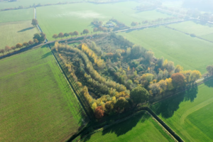 Jardin‑for&ecirc;ts : quand l&rsquo;agriculture r&eacute;apprend &agrave; faire confiance au vivant  - Agriculture Agriculture Bio Agro&eacute;cologie Agroforesterie Alimentation Biodiversit&eacute; D&eacute;veloppement durable For&ecirc;ts For&ecirc;ts comestibles For&ecirc;ts jardins Jardins for&ecirc;ts