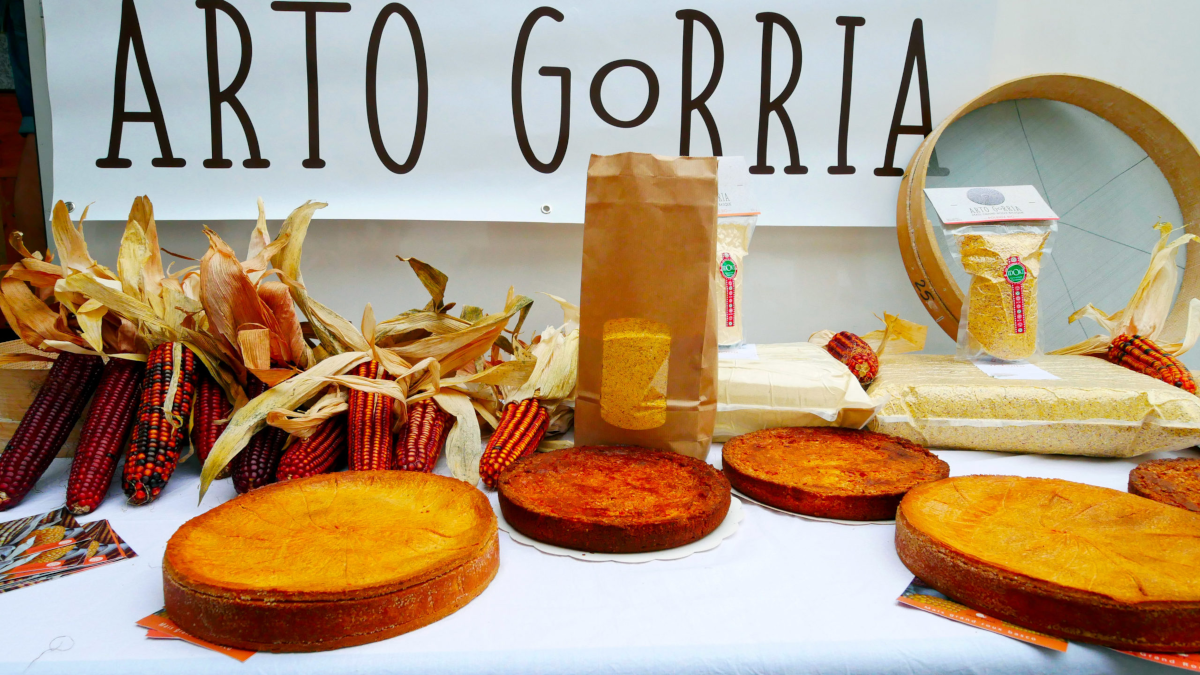 Des basques ressuscitent un ma&iuml;s rustique du XVIe qui pousse sans irrigation ni pesticides  - Agriculture Agriculture Bio Agro&eacute;cologie Biodiversit&eacute; Ma&iuml;s Pays basque Semences