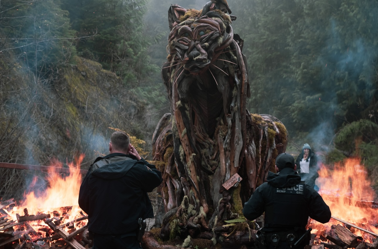 Canada : s&rsquo;opposer aux bulldozers pour sauver les for&ecirc;ts mill&eacute;naires  - Action environnementale Canada D&eacute;forestation Environnement For&ecirc;ts