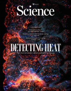 Certaines plantes sans fleurs chauffent pour attirer les pollinisateurs  - Biologie Cycad&eacute;es Plantes Reproduction v&eacute;g&eacute;tale