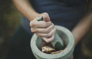 Plantes m&eacute;dicinales : la science &eacute;tudie (enfin) la tradition  - Ethnopharmacologie M&eacute;decine M&eacute;dicaments Pharmacologie Plantes m&eacute;dicinales Recherche scientifique Science Sciences