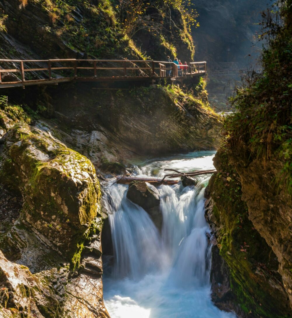 Les slov&egrave;nes ont stopp&eacute; la privatisation de l&rsquo;eau gr&acirc;ce &agrave; un R&eacute;f&eacute;rendum d&rsquo;Initiative Citoyenne  - Eau Eau potable R&eacute;f&eacute;rendum R&eacute;f&eacute;rendum d&rsquo;Initiative Citoyenne Slov&eacute;nie