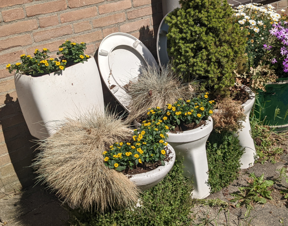 &laquo; Avec le pipi de 100 personnes, on fertilise 2 hectares &raquo; : la r&eacute;volution locale est en marche  - Agriculture D&eacute;veloppement durable Engrais Environnement Lutte environnementale Urine