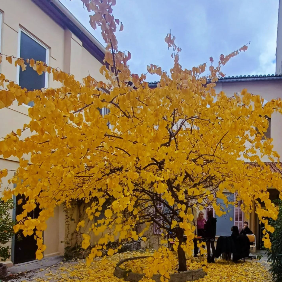 Chez Marthe, un toit pour que les femmes sans-abri se rel&egrave;vent  - Logement Marseille Pauvret&eacute; Pr&eacute;carit&eacute; Sans-abris SDF