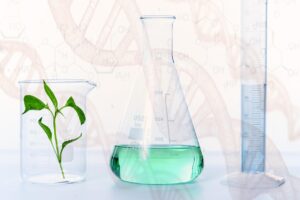 OGM sans le dire : le basculement s&eacute;mantico-g&eacute;n&eacute;tique de l&rsquo;Europe  - ADN Agriculture Agroalimentaire Alimentation Biodiversit&eacute; Biologie Brevets &Eacute;cologie Environnement Europe G&eacute;n&eacute;tique Industries Inf&rsquo;OGM Justice Novlangue OGM Pesticides Plantes Sant&eacute; Semences Union europ&eacute;enne
