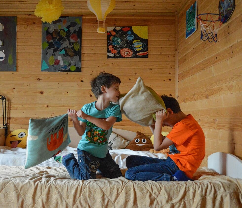 Jouer &agrave; la bagarre : un apprentissage social  - Enfance Psychologie Recherche scientifique Science Sciences