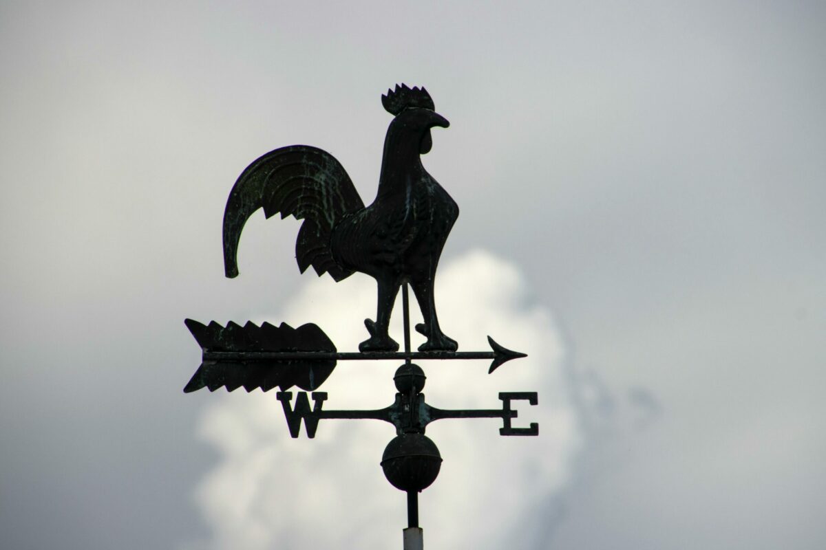 Quand la matraque change de cible, et que le "eux" devient "nous"  - Angela Vergara Cynthia Olivera Droits humains &Eacute;tat policier Humanisme Immigration Immigration and Customs Enforcement (ICE) J&uacute;nior Pena Justice Police Prison Solidarit&eacute;