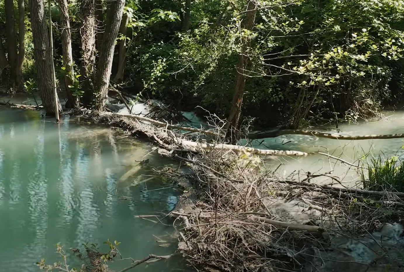 Une vall&eacute;e s'inspire des castors pour combattre les crues  - Castors Cycle de l'eau Eau Environnement For&ecirc;ts Haies Inondations Ripisylves Toulouse Zones humides