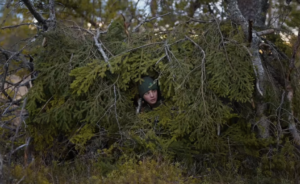 Le documentaire "Le Chant des for&ecirc;ts" d&eacute;passe le million d'entr&eacute;es  - Biodiversit&eacute; Cin&eacute;ma Documentaire Initiatives Vincent Munier