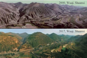 La Chine a transform&eacute; le d&eacute;sert du Taklamakan en for&ecirc;t qui absorbe CO₂  - Changement climatique Chine Climat CO2 D&eacute;sert D&eacute;sert du Taklamakan Environnement For&ecirc;ts Gaz &agrave; effet de serre