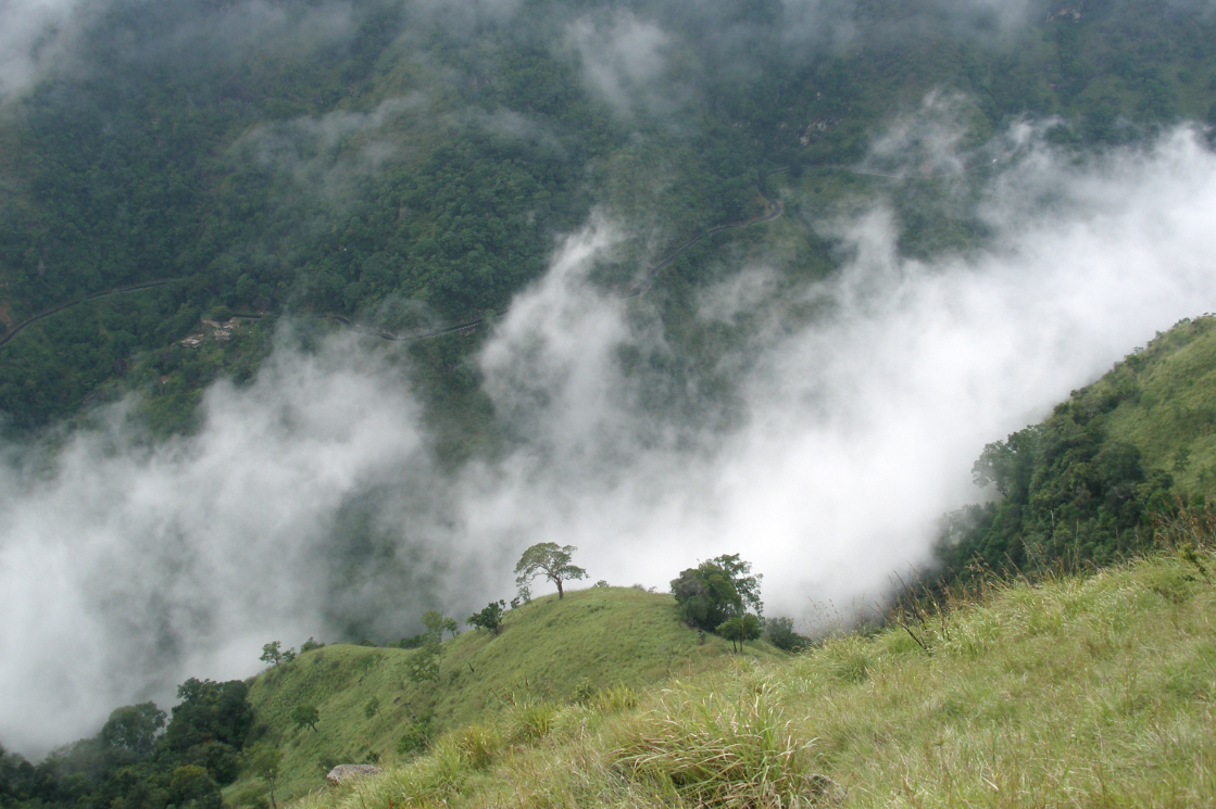 Cultiver la pluie : le mode d&rsquo;emploi qui marche (garanti 0% chamanisme)  - Agro&eacute;cologie Amazonie Arbres Changement climatique Climat Cycle de l'eau D&eacute;forestation Eau &Eacute;cologie Environnement For&ecirc;ts Pluie S&eacute;cheresse Sols Sols vivants