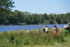 La biodiversit&eacute; selon l&rsquo;association FUTUR : former des "aventuriers" &agrave; l'&eacute;cole plut&ocirc;t que des donneurs de le&ccedil;ons  - Action environnementale Animaux Association FUTUR Aventuriers de la Biodiversit&eacute; Biodiversit&eacute; &Eacute;ducation Environnement Initiatives Lutte environnementale