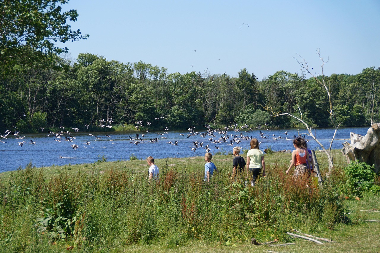 La biodiversit&eacute; selon l&rsquo;association FUTUR : former des "aventuriers" &agrave; l'&eacute;cole plut&ocirc;t que des donneurs de le&ccedil;ons  - Action environnementale Animaux Association FUTUR Aventuriers de la Biodiversit&eacute; Biodiversit&eacute; &Eacute;ducation Environnement Lutte environnementale