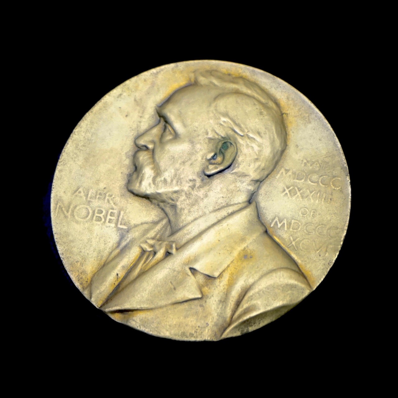 Un "faux nobel" : la m&eacute;daille fant&ocirc;me d'un prof de Besan&ccedil;on  - Besan&ccedil;on Florent Montaclair Imposture Justice M&eacute;daille d'or de philologie Prix Nobel Universit&eacute;